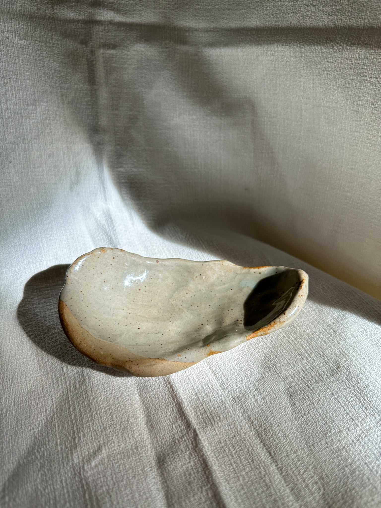 Shell dish