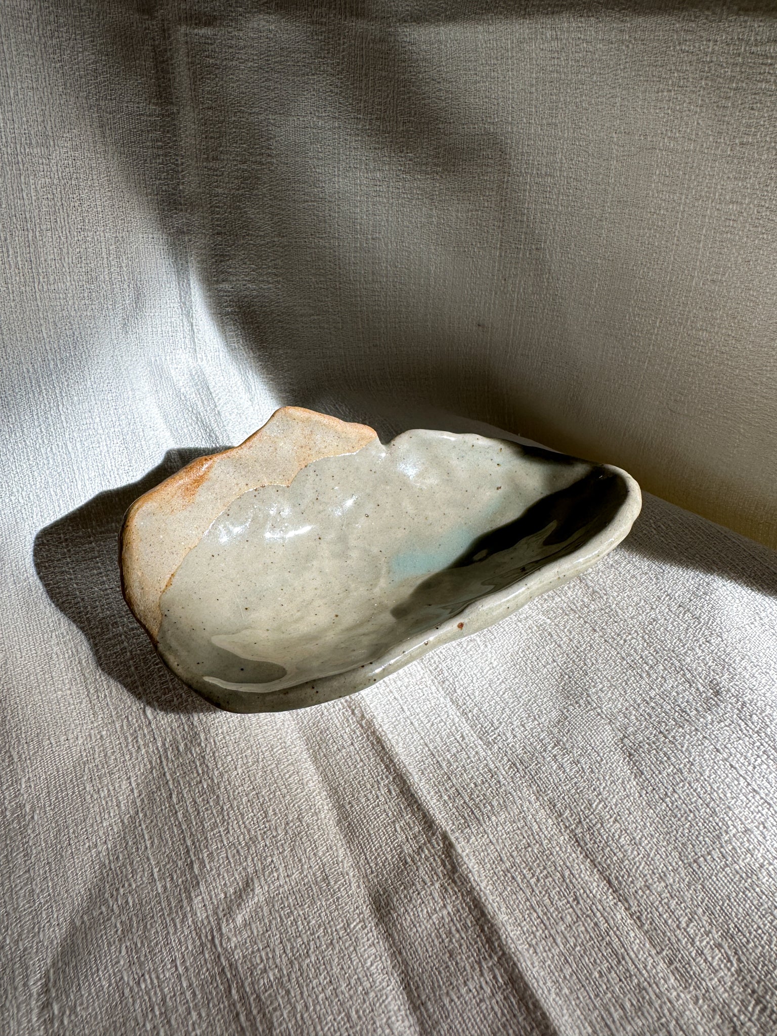 Shell dish