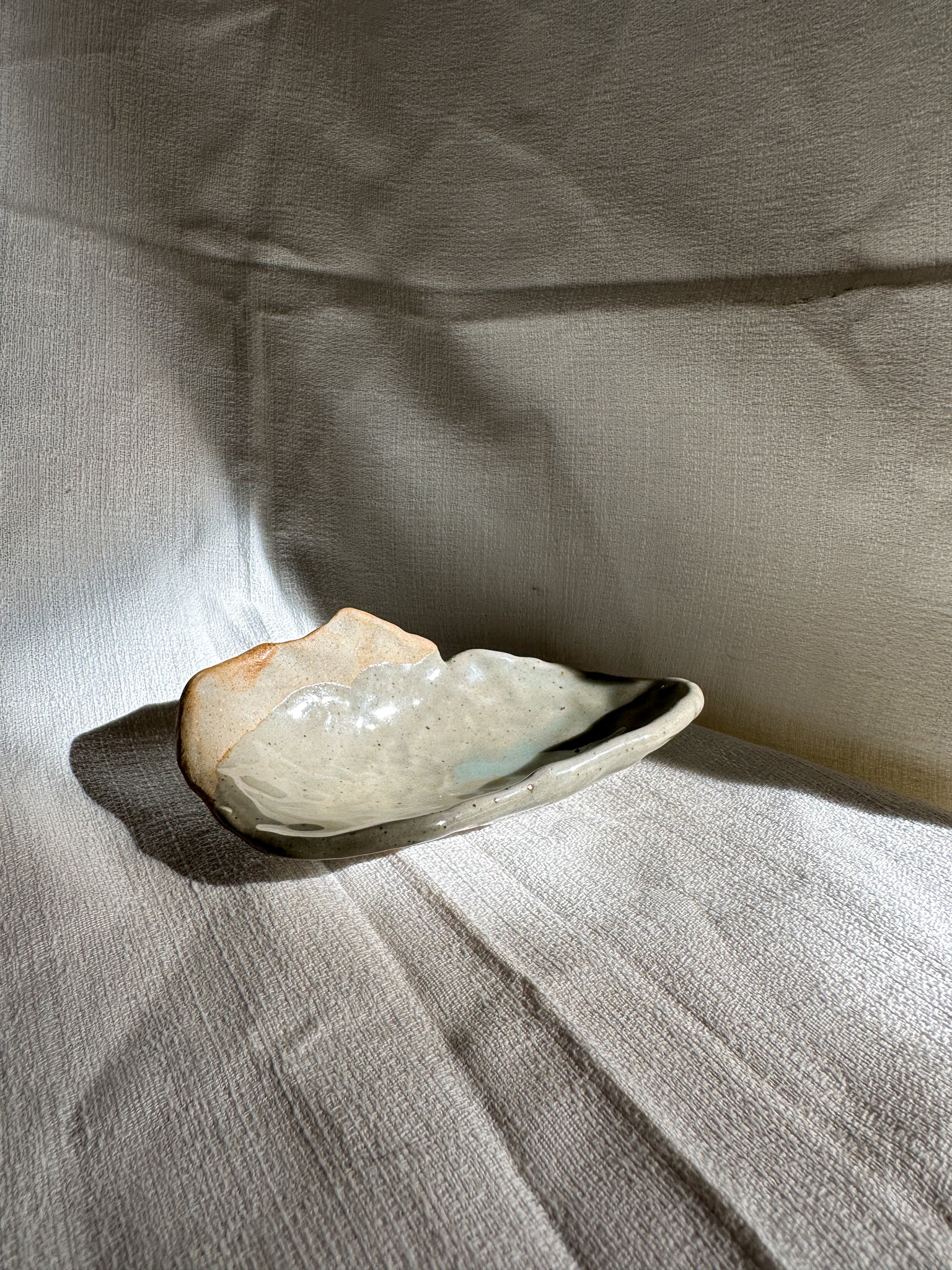 Shell dish